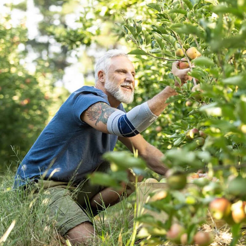 Man bending down to pick apples while wearing Bauerfeind's EpiTrain elbow brace.