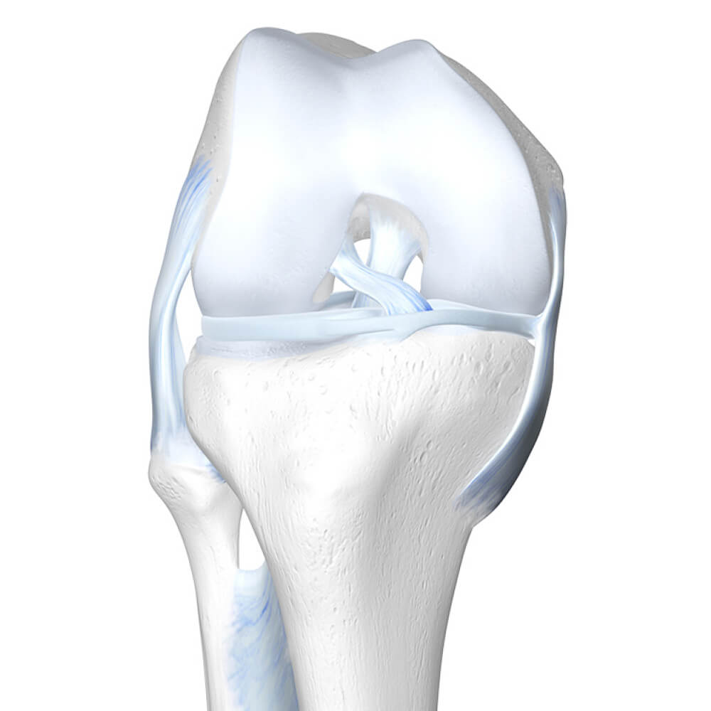 Illustration of knee pain with red target circles highlighting the knee joint.