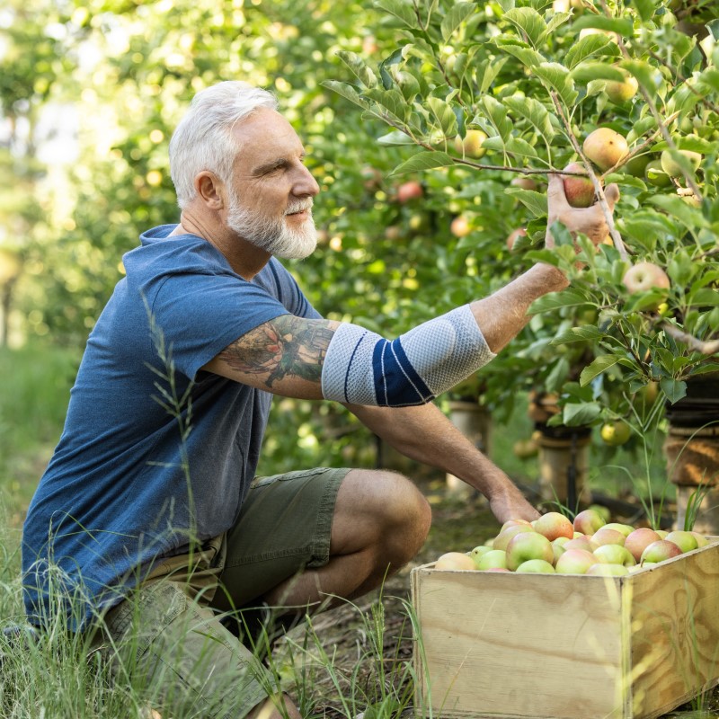 Man wearing Bauerfeind's EpiTrain elbow brace while picking apples at an apple farm.